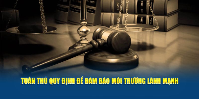tuan-thu-quy-dinh-de-dam-bao-moi-truong-lanh-manh